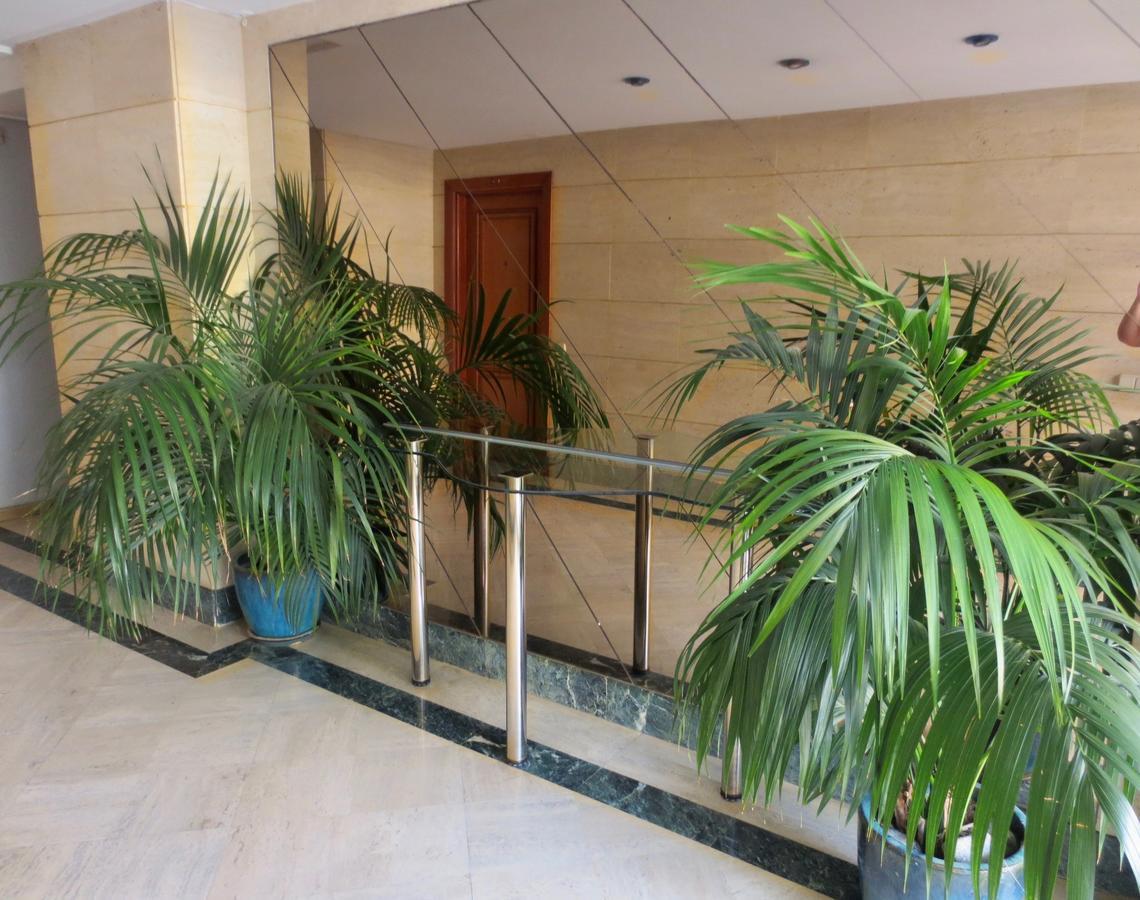 דירות קלפה Bahia Mar מראה חיצוני תמונה